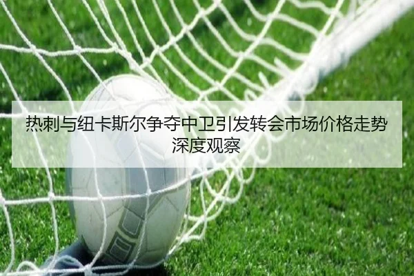 热刺与纽卡斯尔争夺中卫引发转会市场价格走势深度观察